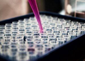 Lyme Disease Breakthrough: Genetic Mapping of 47 Strains Could Enhance Diagnosis and Treatment
