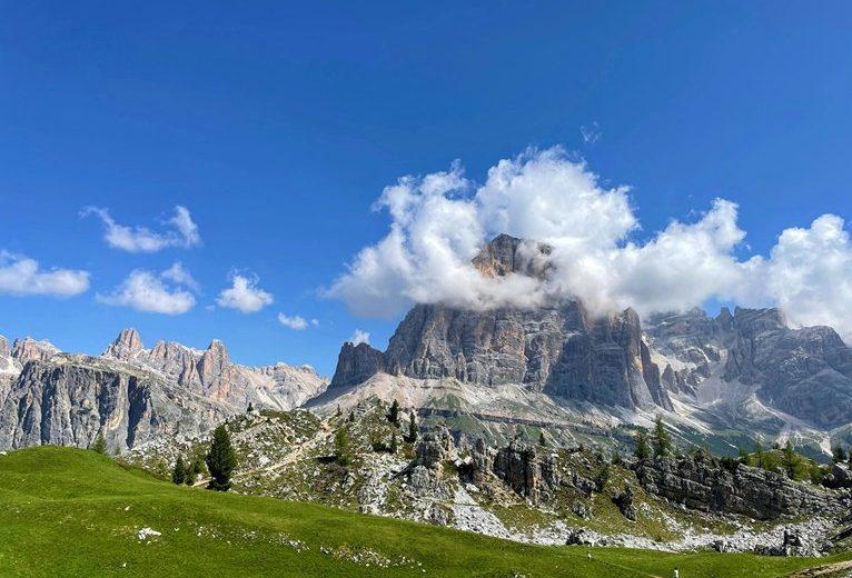 Zyrtec Vs Allegra: Which Antihistamine Works Faster and Longer?