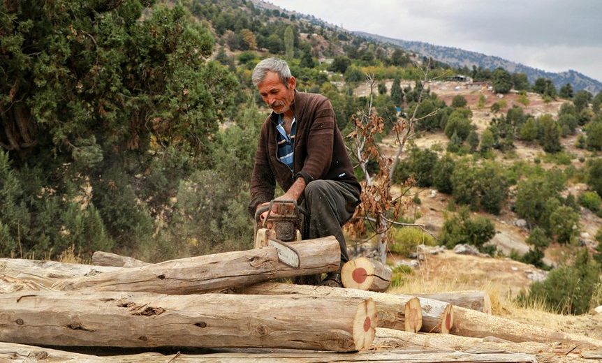 Why the Chainsaw Was Invented Has Nothing to Do With Trees