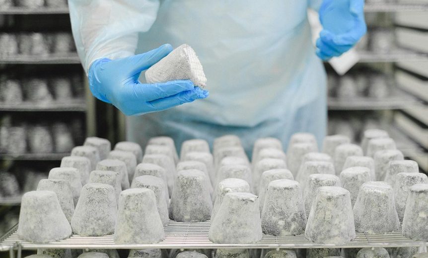 Is Citric Acid Mold-Derived? The Hidden Source Behind Food Reactions