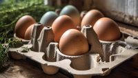 Egg Recall: What You Need To Know Before Buying Eggs Right Now