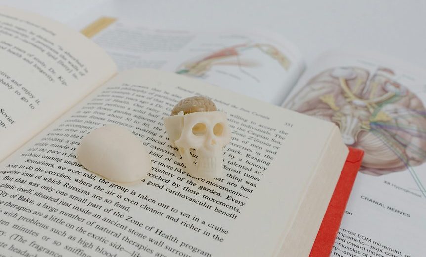 Super Gut Book Review: Key Takeaways and Real Gut Health Lessons