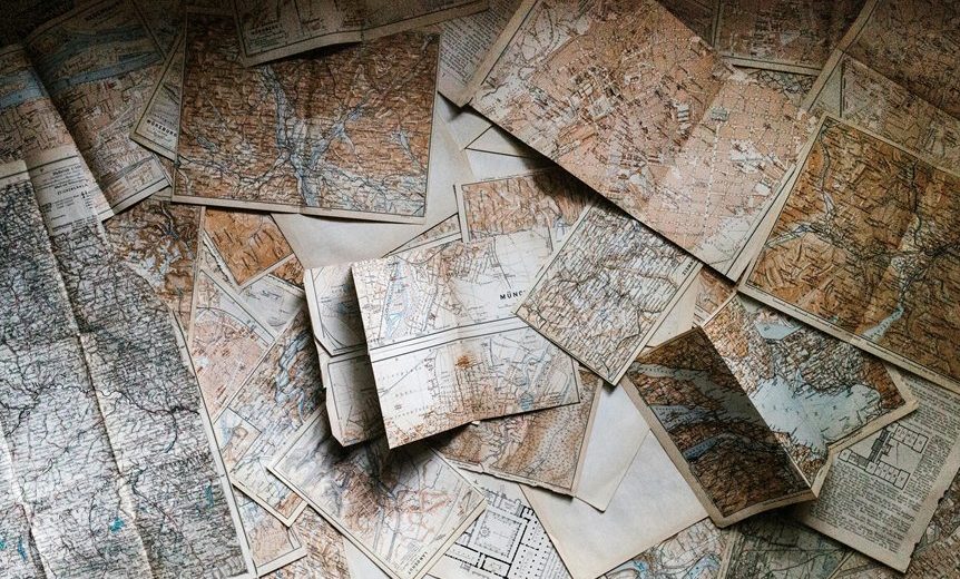 Possum Vs Opossum: the Confusing Truth You’Ve Probably Been Saying Wrong