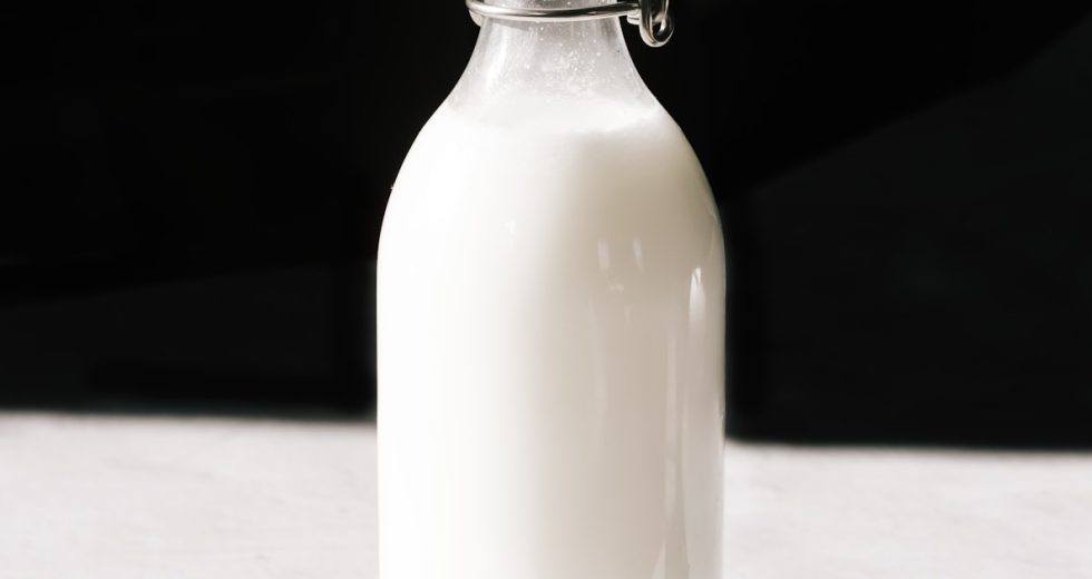 Best Probiotics for Bloating: Strains That Actually Reduce Gas