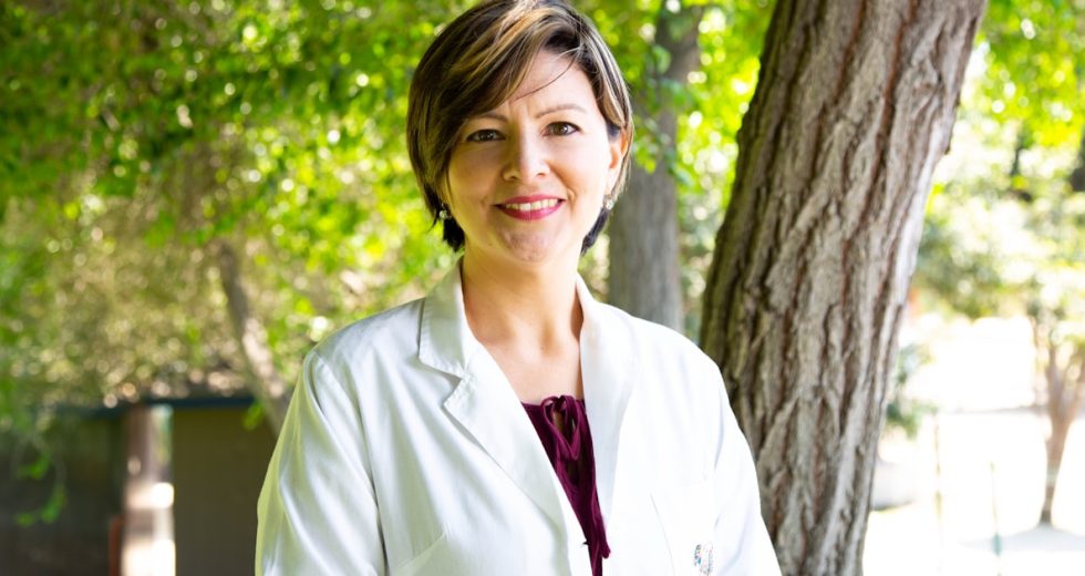 Best Electrolyte Drinks Without Sugar: What Actually Hydrates You